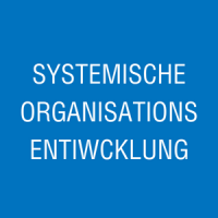 Systemische Organisationsentwicklung